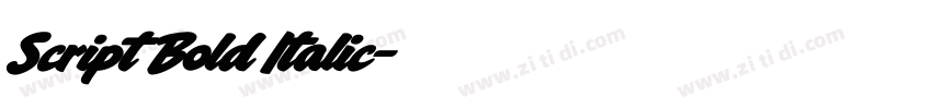 Script Bold Italic字体转换